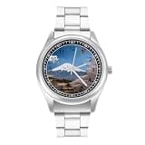 NTVOWPZO Three-Hand Analog Stainless Steel Watches for Men Easy Reader