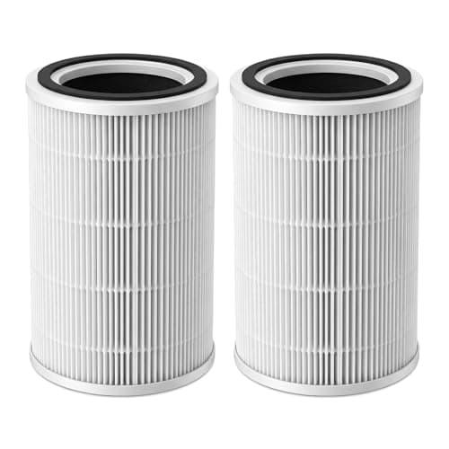 HOAXCINN Replacement Air Filter Compatible with XenonLab VisionAir HAP606 & FreAire HAP606, ECOSELF HAP609 Air Purifier H13 HEPA Filter High-Efficiency Carbon Filtration Filter, 2-Pack