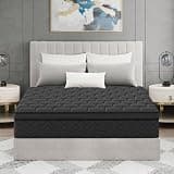 Hohamn 12 Inch Queen Memory Foam Hybrid Mattress in Box, Black