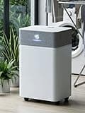 KEGIAN 4000 Sq.Ft Dehumidifier for Basement, 55 Pint Dehumidifiers for Home, Bedroom, Bathroom, Large Room, Portable Dehumidifier with Drain Hose, Intelligent Humidistat, Quiet Operation