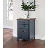 Pemberly Row Farmhouse Wood File Cabinet, Dusty Blue Finish, 3 Drawers with Ball-Bearing Glides, Natural Wood Top and Bronze Pulls, 20" W x 30" H x 21" D, Fully Assembled Home Office Storage