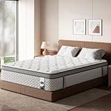 QMDJECKERO 2 King Mattress, 12 Inch 5-Zone Deep Sleep Firm Mattress with Extra Lumbar & Shoulder Support, Hotel Collection Hybrid Mattresses, Fiberglass Free & No Odor - 365 Nights Trial