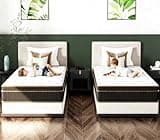2 10 Inch Twin Mattress Set of 2 for Kids Hybrid Memory Foam in a Box, Individually Wrapped Coils Pocket Innerspring for Motion Isolation and Pressure Relief,Medium Firm,Fiberglass-Free