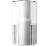 AEOCKY 4200 ft² YearChange Air Purifier with 515 CADR for Whole-House