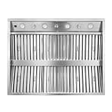CT Copper Tailor 42-Inch Outdoor Kitchen Vent Hood 2010CFM, BBQ Range Hood in Stainless Steel with Dual Blowers,4-Speed Exhaust Fan, LED Lights,Baffle Filters