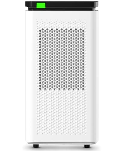 Air Purifiers for Large Rooms