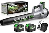 CEEPUY Brushless Cordless Leaf Blower, 735CFM Electric Leaf Blower with 2×6.0Ah Batteries & Fast Charger, 6 Speed Levels, Lightweight Battery Leaf Blower for Lawn Care, Yard, Garden, Patio - Dark gray
