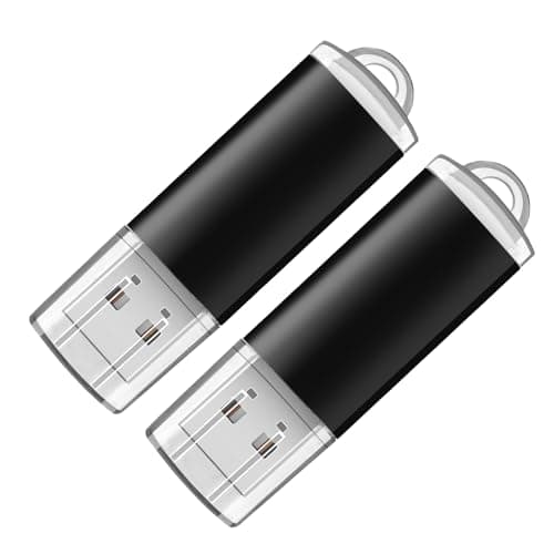 Generic 2-Pack 256GB USB Flash Drive| Ultra-Fast | Plug & Play | for Students, Professionals, Content Creators(2 Pack Plastic USB Black, 256GB)