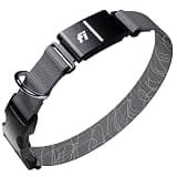 Fi Series 3+ GPS + Health Dog Collar, Gray, Large, 6-Month Membership