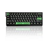 ZMX MADLIONS MAD 60 V2 Rapid Trigger RGB Gaming Keyboard,60% Hall Effect Magnetic Switch Wired Mechanical Keyboard with 8K Polling Rate 0.001mm RT PrecisionTransparent Keycaps for PC/Mac (Black)