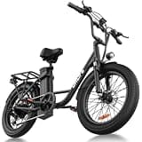 URLIFE Electric Bike for Adults, 20" Fat Tire Ebike with 48V Removable Battery, 80 Mile Range, 7-Speed, E Bike Commute Ride for Teens & Adults (Black)