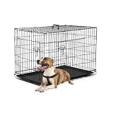 FDW Dog Crate Dog Kennel Cage with Double Door,36 inch Folding Metal Wire Dog Cage with Removable Tray&Divider Panel,Pet Crate for Medium Dogs,Black