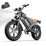 DEEPOWER Electric Bike for Adults,2000W Peak Motor&28MPH Electric Dirt Bike，48V 20AH/35AH/60AH Battery, 70-160 Max Miles,Dual Suspension Ebikes for Adults, 20" Fat Tire E Bike