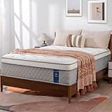 NiSleep Full Size Mattress, 14 Inch Plush Mattress in a Box, Hybrid Cooling Gel Memory Memory Foam and Pocket Springs Bed, Fiberglass Free, Back Support Pressure Relief Breathable