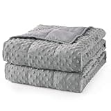 Mr. Sandman Weighted Blanket for Adults, Minky Dots Heavy Blanket for Woman, Man Sleeping/Calm, Soft, Cozy and Cooling Weighted Throw Blankets, Machine Washable, 60 x 80in, 20 Pounds, Grey