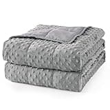 Mr. Sandman Weighted Blanket for Adults, Minky Dots Heavy Blanket for Woman, Man Sleeping/Calm, Soft, Cozy and Cooling Weighted Throw Blankets, Machine Washable, 60 x 80in, 20 Pounds, Grey