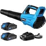 Leaf Blower Cordless, Electric Leaf Blower with 2 Batteries and Charger, 2 Speed Modes, Extension Tube, 20V Powerful Lightweight Blowers for Lawn Care, Blowing Leaves, Patio, Blue