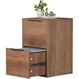 FATIGOS File Cabinet, 2 Drawer Filing Cabinet for Home Office, Modern Farmhouse File Cabinets with Hanging Rail for Letter Files,Small Printer Stand, Brown (15.7" D x 15.1" W x 24.1" H)