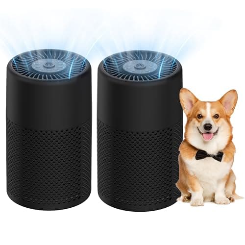 2 Pack CHIVALZ Air Purifiers Black