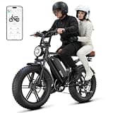 TS TST GRP LLC Electric Bike for Adults, Peak 1500W Motor Retro Ebike, Range 65Miles, 48V 15Ah Removable Battery, 20"x4" Fat Tires, Full Suspension, Off-Road E Bike for City Commuting
