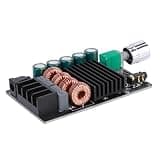 Headerbs Amplifier Board Module Digital Stereo Amplifier with TPA3116D2 Chip 100W X 2 Output LC Filter Overheat Protection for DIY Speakers Home Audio Users