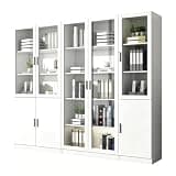YKHTBDL Wood File Cabinet with Aluminum Alloy Handle, Storage Cabinet with Explosion-Proof Glass, Bookcase with 5-Tier Shelves for Home Office, Garage and Warehouse White ABC