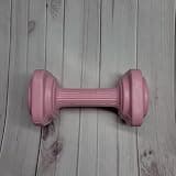 RESTSUKO Body-building apparatus – Dumbbells – Hand Weights for Women & Beginners, Strength Training Fitness Equipment