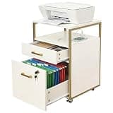 Lateral File Cabinet with Lock, 2 Drawer Home Office Printer Stand