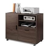 GFSGHZZ Filing Cabinet Wood Lateral File Cabinet with 1 Drawer Printer Stand with Storage Door and Shelves Large Mobile Filing Cabinet for Home Office Storage Cabinet