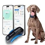 DBDD AI GPS Tracker for Dogs with Virtual Fence & Real-Time Location - Waterproof Electronic Collar for Escape Artists, AI Health Monitor for Medium to Large Dogs (30lbs+), iOS & Android, Black