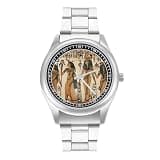 NTVOWPZO Three-Hand Analog Stainless Steel Watches for Men Easy Reader