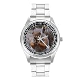 NTVOWPZO Three-Hand Analog Stainless Steel Watches for Men Easy Reader
