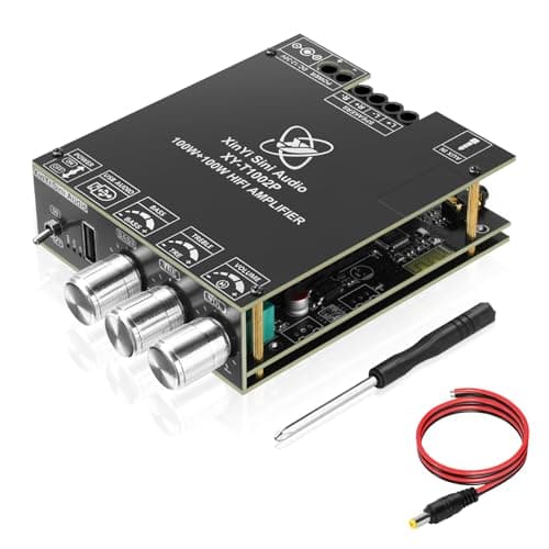 Daakro XY-T1002P 2 Channel Bluetooth Amplifier Board, 100W+100W Peak Power Home Audio Amplifier Board,Vehicle Amplifier Wide Voltage Input 12-30V,Supports USB/AUX/BT Input for DIY Wireless Speaker
