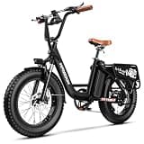 VEBLUE VEFREEDOM Cityrang4.0 1500w 48V20Ah Electric Bike for Adult - Black