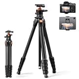K&F CONCEPT 63" Aluminum Travel Tripod for Camera/Phone, 2.6 lbs Compact Lightweight with Arca Ball Head, 22 lbs Max Load Heavy Duty for DSLR Mirrorless iPhone Video Recording