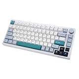 GK GAMAKAY TK75 V2 75% Silent Mechanical Keyboard with TFT Screen, Hot Swap RGB Bluetooth 5.0/2.4GHz Wireless/USB-C Wired PBT Cherry Profile Keycaps Gaming Keyboard (GamaKay Pegasus Switch)