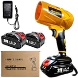 Guiqiqi 21V Cordless Turbo Blower Portable High Speed Fan for Computer, Car, Leaves, Snow and Workshop Crumb Cleaning with 2 Lithium Batteries (2 x 1500mAh Batt+Charger)