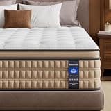 BedStory 14 inch Medium Firm Queen Mattress - Pain-Relieving Hybrid Mattress for Extra Lumbar & Hip Support - Queen Bed in a Box - 365-Night Trial - No Odor, Fiberglass-Free, CertiPUR-US Certified