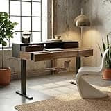 ErGear Electric Standing Desk with 5 Solid Wood Drawers, 48 x 26 Inches Whole Piece Desktop, with Desktop Riser Stand, Compatible with C-Clamp Monitor Arms, Modern Office Desk, Dark Walnut
