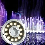 FDWXHZJL LED Ring Fountain Light - Submersible Underwater Pond Lights, IP68 Waterproof Stainless Steel Spotlight, AC12V Middle Hole Pool Lights(Red,6W-AC12V)