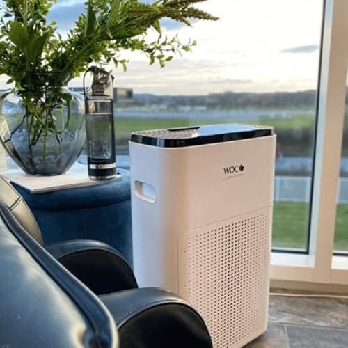 Air Cleaner Air Purifier