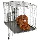 MidWest Homes for Pets 42-Inch iCrate for Large Breeds, 71-90 lbs, Single Door Folding Dog Crate with Divider Panel, Leak-Proof Tray & Secure Latch, Portable, Durable & Easy to Assemble