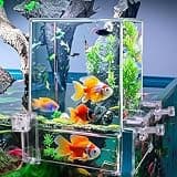 Okllen Negative Pressure Fish Tank Acrylic, Auto-Refill Hanging Aquarium with Fish Elevator, Water Level Maintenance & 360° View, Space-Saving External Suspended Tank for Betta/Guppy