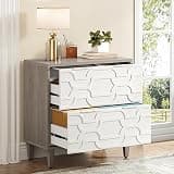 Tribesigns 2-Drawer File Cabinet, Lateral Filing Cabinet for A4/Letter/Legal Size, Office Storage Cabinet, Printer Stand with Storage Drawer for Home Office, White and Gray