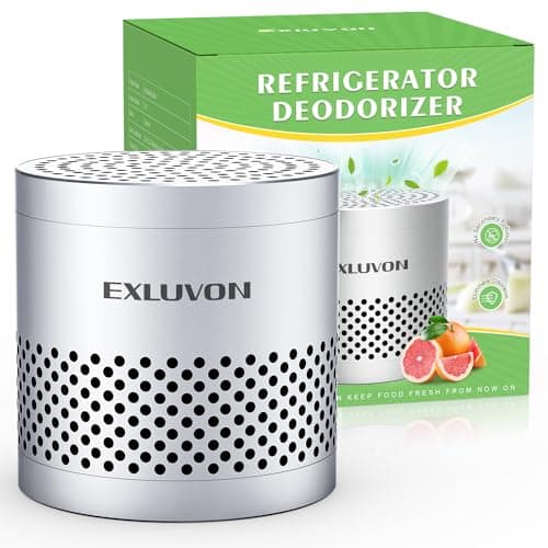 Exluvon Refrigerator Deodorizer Home Gadgets for Kitchen Fridge Deodorizer Odor Eliminator,Light Silver