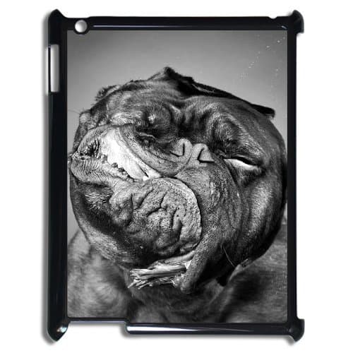 DIY Fashion Cute Dog Pattern Texture Hard Plastic Case for iPad 2 3 4 Black [Bbnmlgb]