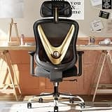 HOLLUDLE Ergonomic Mesh Office Chair - 3D Adjustable Lumbar Support & 3D Armrests, V-Shaped Back, Adjustable Desk Chair for Office & Home, Black and Gold