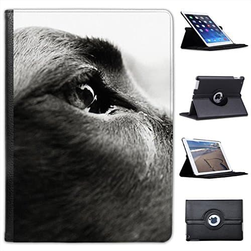 Great Dane Dog Close Up of Eye for Apple iPad Air 2 [2014 Version] Faux Leather Folio Presenter Case Cover Bag with Stand Capability