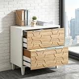 2-Drawer Filing Cabinet with Adjustable Rods for Legal/Letter/A4 Files, Sturdy Home Office Storage Organizer with Solid Wood Legs, Office Storage, Legal File Organizer, Desktop File Cabinet