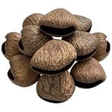 10 Pcs Natural Panji Nutshell Rattle, Brown Fruit Shell for DIY Wind Chimes, Hand Percussion, Acoustic Therapy, Pre-drilled Musical Instruments Bag Charm